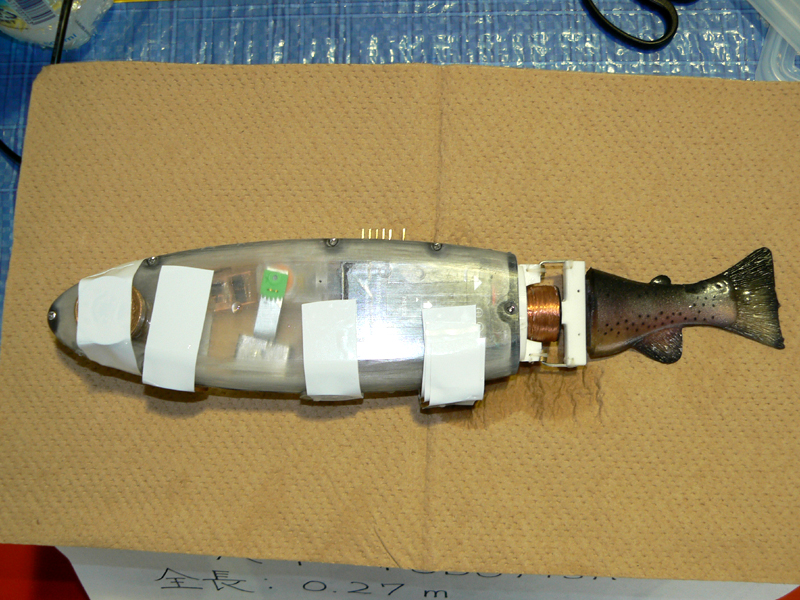 開発中の新魚ロボット「RT robofish」。今後、カメラを搭載して自律化する予定