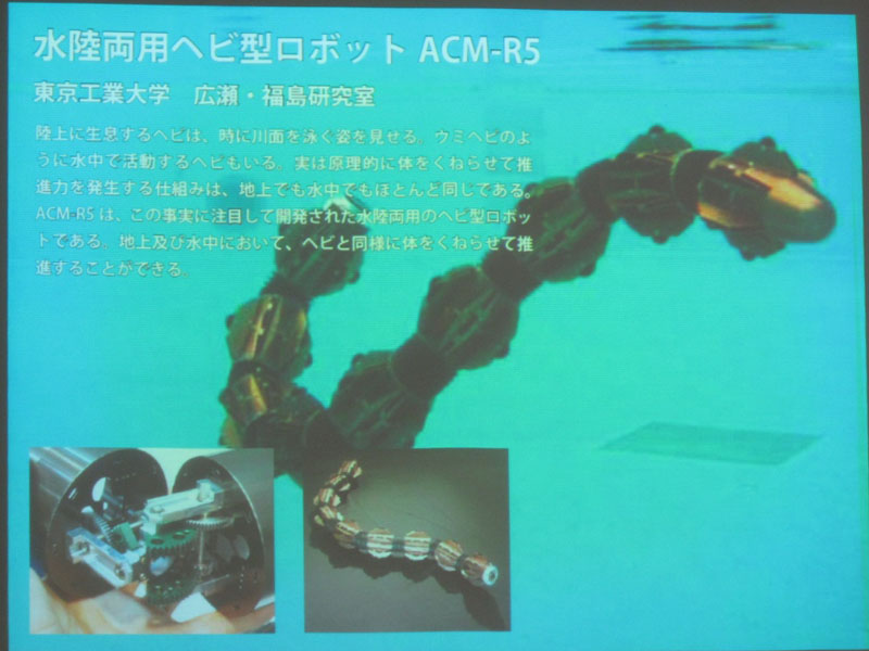 中安氏から見れば、東京工業大学のヘビ型ロボットもアートとしての一面があるという