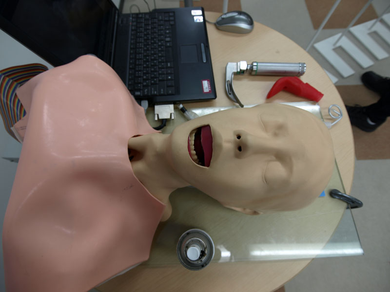 気管挿管外科手術の訓練用ロボット「WKA-1R」。