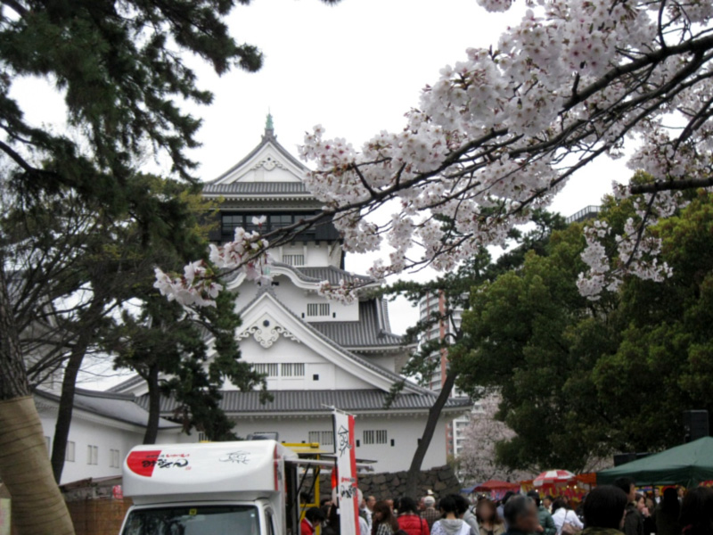 小倉城と桜。当日は桜が満開だった
