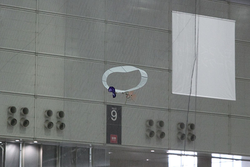上下二枚の主翼が両端でつながって、円柱状になっているのが特徴の韓国KAISTの「ICARUS-FW」